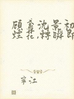 顾鸢沈景初爱如烟花,转瞬即逝