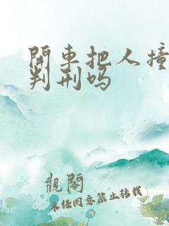 开车把人撞了会判刑吗