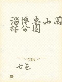 淄博鲁山国家森林公园