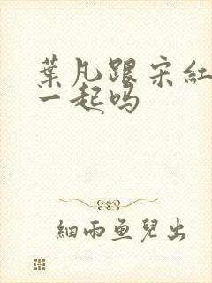 叶凡跟宋红颜在一起吗