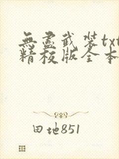 无尽武装txt精校版全本