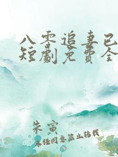 八零追妻已太迟短剧免费全集