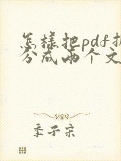 怎样把pdf拆分成两个文件