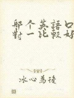 哪个英语口语一对一比较好