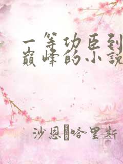 一等功臣到权力巅峰的小说