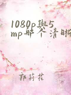 1080p与5mp哪个清晰