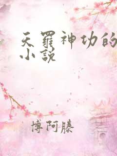 天罗神功的武侠小说