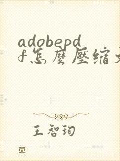 adobepdf怎么压缩文件大小