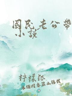 国民老公带回家 小说