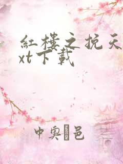 红楼之挽天倾txt下载