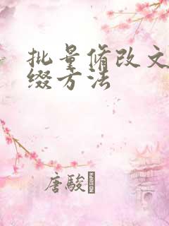 批量修改文件后缀方法