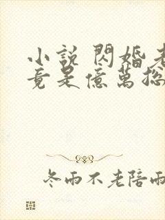 小说 闪婚老公竟是亿万总裁