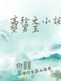 高干文小说推荐双男主