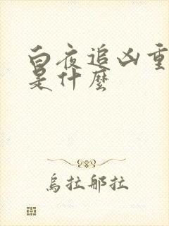 白夜追凶重逢版是什么