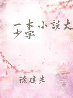 一本小说大概多少字