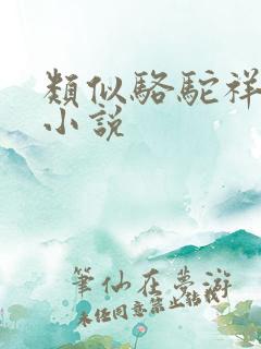 类似骆驼祥子的小说