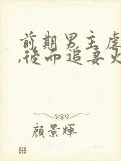 前期男主虐女主,后面追妻火葬场