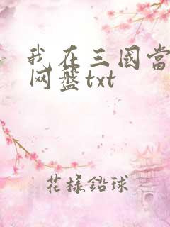 我在三国当混蛋网盘txt