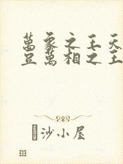 万象之王天蚕土豆万相之王