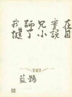 我师兄实在太稳健了小说目录章节