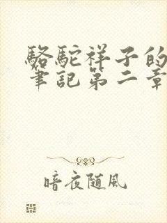 骆驼祥子的读书笔记第二章