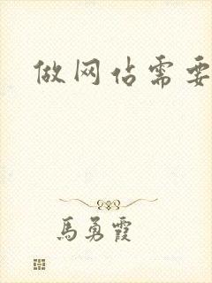 做网站需要价格