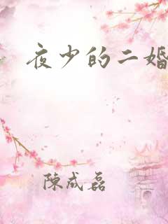 夜少的二婚新妻