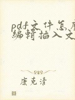 pdf文件怎么编辑插入文字