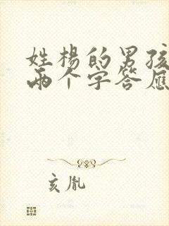 姓杨的男孩名字两个字答应