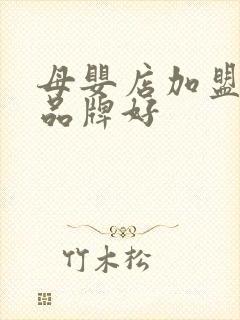 母婴店加盟哪个品牌好