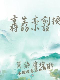 重生亮剑授衔大将的小说