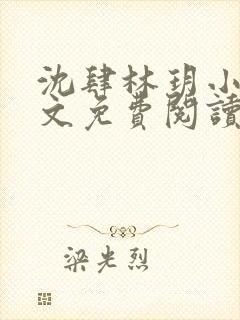 沈肆林玥小说全文免费阅读