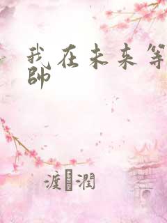 我在未来等你王帅