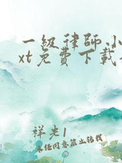 一级律师小说txt免费下载全文