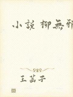 小说 柳无邪
