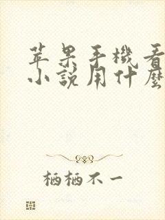 苹果手机看本地小说用什么阅读器好