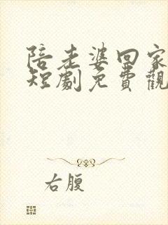 陪老婆回家过年短剧免费观看