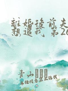 离婚后前夫总是想追我 第260章