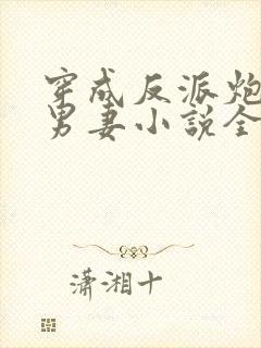 穿成反派炮灰的男妻小说全文阅读