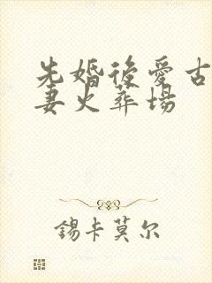 先婚后爱古言追妻火葬场