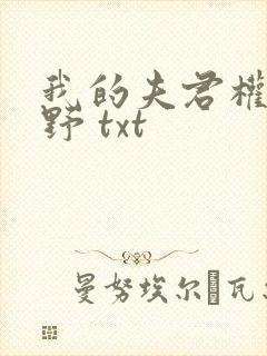 我的夫君权倾朝野 txt