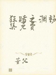 狂赌之渊动漫全集免费