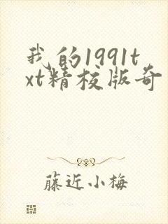 我的1991txt精校版奇书网