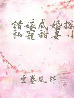 错嫁成婚总裁的私宠甜妻 小说