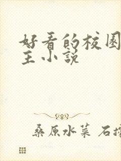 好看的校园双男主小说