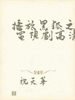 播放黑狐之风影 电视剧高清