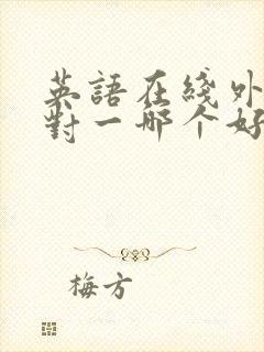 英语在线外教一对一哪个好