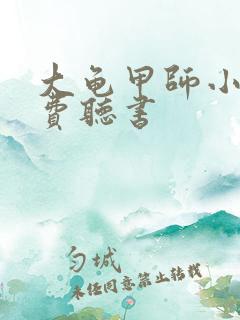大龟甲师小说免费听书