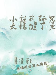 小说我师兄实在太稳健了免费完本