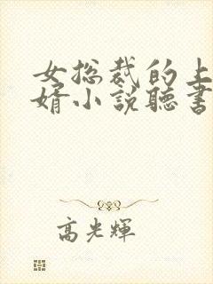 女总裁的上门女婿小说听书